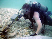 Load image into Gallery viewer, JW Fisher Pulse 8X Underwater Metal Detector