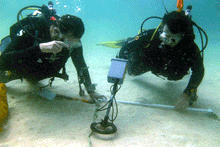 Load image into Gallery viewer, JW Fisher Pulse 8X Underwater Metal Detector