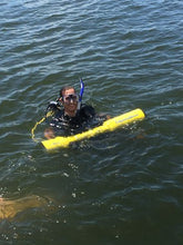 Load image into Gallery viewer, JW Fisher Diver Mag-1 Hand Held Magnetometer by Sports365pro