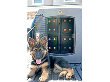 Load image into Gallery viewer, Dakota 283 Forever Insert X-Large