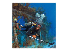 Load image into Gallery viewer, Fisher 1280X-8 Underwater Metal Detector with 8" Search Coil