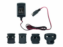 Load image into Gallery viewer, Minelab Excalibur Charger Universal