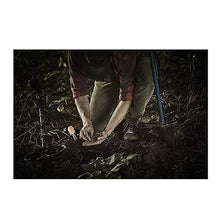 Load image into Gallery viewer, Minelab X-Terra PRO Waterproof Metal Detector with Pro-Find 35 Pinpointer & Carry Bag