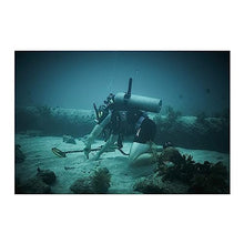 Load image into Gallery viewer, Minelab X-Terra PRO Waterproof Metal Detector with Pro-Find 35 Pinpointer & Carry Bag