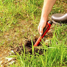 Load image into Gallery viewer, XP Deus II Metal Detector RC with 11" FMF Coil with MI-6 Pinpointer