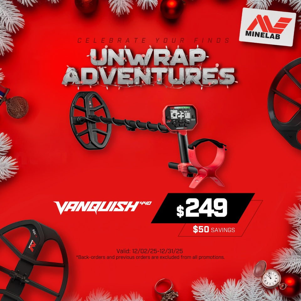 Minelab Vanquish 440 Metal Detector