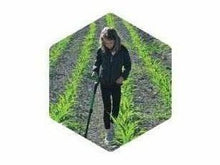Load image into Gallery viewer, Nokta Makro MIDI Hoard Waterproof Kids/Teens Metal Detector
